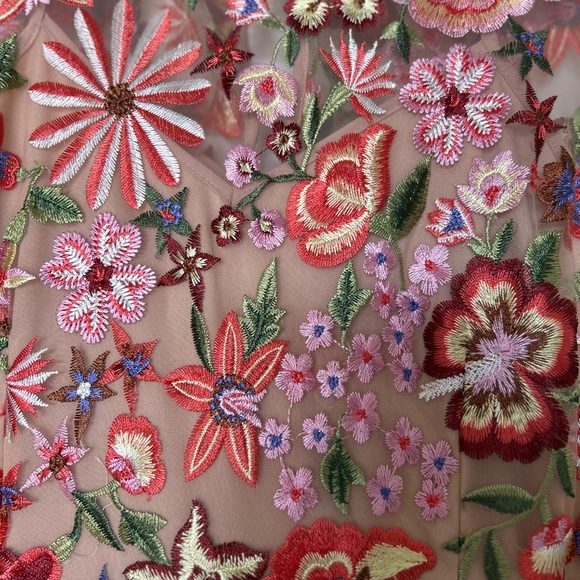 Floral Embroidered Mini Dress - Picture 2 of 2